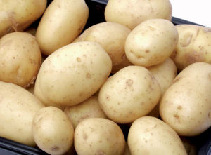 Krompir SLO pak. 5 kg